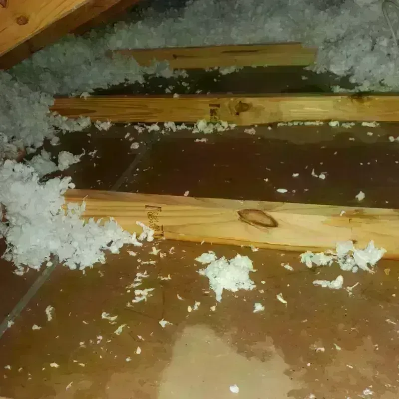 Attic Water Damage in Fairchance, PA